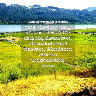 Picture 04 - ವಿಮೋಚನಕಾಂಡ 10:25 KANIRV - ಅದಕ್ಕೆ ಮೋಶೆಯು, - Bible Verse Picture