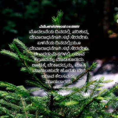 Picture 04 - ವಿಮೋಚನಕಾಂಡ 12:16 KANIRV - ಮೊದಲನೆಯ ದಿನದಲ್ಲಿ - Bible Verse Picture