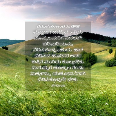 Picture 04 - ವಿಮೋಚನಕಾಂಡ 13:13 KANIRV - ಮೊದಲು ಹುಟ್ಟಿದ - Bible Verse Picture