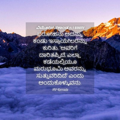 Picture 04 - ವಿಮೋಚನಕಾಂಡ 14:3 KANIRV - ಫರೋಹನು ಅದನ್ನು - Bible Verse Picture