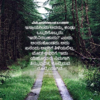 Picture 04 - ವಿಮೋಚನಕಾಂಡ 16:15 KANIRV - ಇಸ್ರಾಯೇಲರು ಅದನ್ನು - Bible Verse Picture