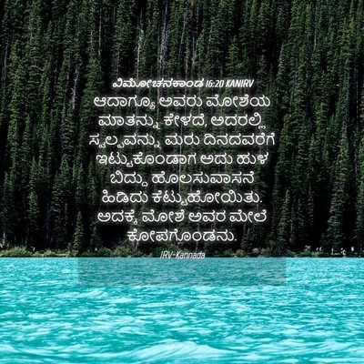 Picture 04 - ವಿಮೋಚನಕಾಂಡ 16:20 KANIRV - ಆದಾಗ್ಯೂ ಅವರು - Bible Verse Picture