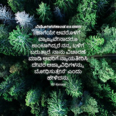 Picture 04 - ವಿಮೋಚನಕಾಂಡ 18:16 KANIRV - ಹಾಗೆಯೇ ಅವರೊಳಗೆ - Bible Verse Picture