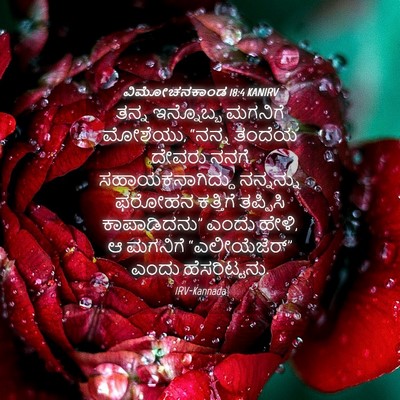 Picture 04 - ವಿಮೋಚನಕಾಂಡ 18:4 KANIRV - ತನ್ನ ಇನ್ನೊಬ್ಬ - Bible Verse Picture