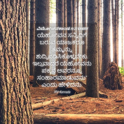 Picture 04 - ವಿಮೋಚನಕಾಂಡ 19:22 KANIRV - ಯೆಹೋವನ ಸನ್ನಿಧಿಗೆ - Bible Verse Picture