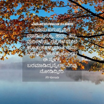 Picture 04 - ವಿಮೋಚನಕಾಂಡ 19:4 KANIRV - ‘ನಾನು - Bible Verse Picture