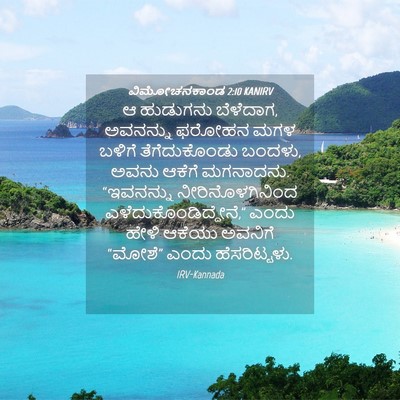 Picture 04 - ವಿಮೋಚನಕಾಂಡ 2:10 KANIRV - ಆ ಹುಡುಗನು ಬೆಳೆದಾಗ, - Bible Verse Picture