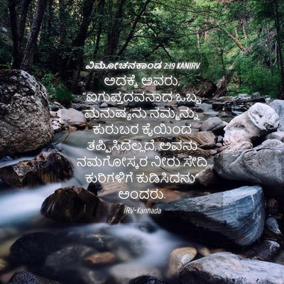 Picture 04 - ವಿಮೋಚನಕಾಂಡ 2:19 KANIRV - ಅದಕ್ಕೆ ಅವರು, - Bible Verse Picture