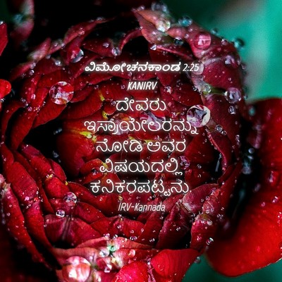 Picture 04 - ವಿಮೋಚನಕಾಂಡ 2:25 KANIRV - ದೇವರು - Bible Verse Picture