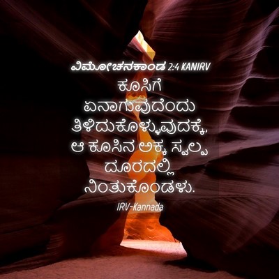 Picture 04 - ವಿಮೋಚನಕಾಂಡ 2:4 KANIRV - ಕೂಸಿಗೆ - Bible Verse Picture