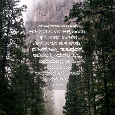 Picture 04 - ವಿಮೋಚನಕಾಂಡ 2:7 KANIRV - ಆಗಲೇ ಮಗುವಿನ ಅಕ್ಕ - Bible Verse Picture