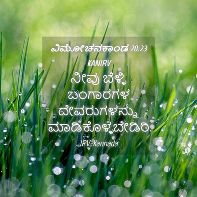 Picture 04 - ವಿಮೋಚನಕಾಂಡ 20:23 KANIRV - ನೀವು ಬೆಳ್ಳಿ - Bible Verse Picture