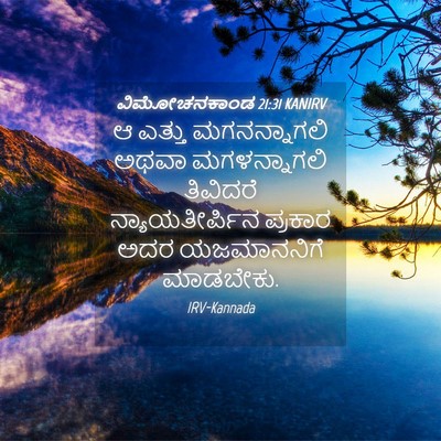 Picture 04 - ವಿಮೋಚನಕಾಂಡ 21:31 KANIRV - ಆ ಎತ್ತು - Bible Verse Picture