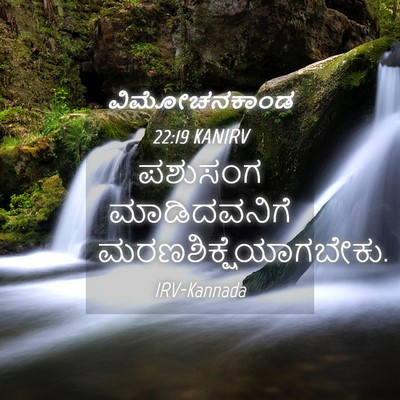 Picture 04 - ವಿಮೋಚನಕಾಂಡ 22:19 KANIRV - ಪಶುಸಂಗ ಮಾಡಿದವನಿಗೆ - Bible Verse Picture
