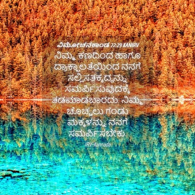 Picture 04 - ವಿಮೋಚನಕಾಂಡ 22:29 KANIRV - ನಿಮ್ಮ ಕಣದಿಂದ ಹಾಗೂ - Bible Verse Picture