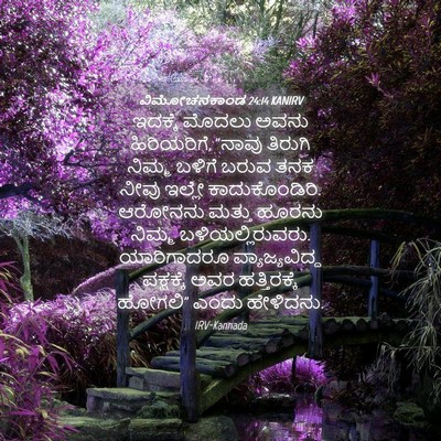Picture 04 - ವಿಮೋಚನಕಾಂಡ 24:14 KANIRV - ಇದಕ್ಕೆ ಮೊದಲು ಅವನು - Bible Verse Picture