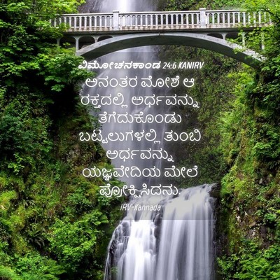 Picture 04 - ವಿಮೋಚನಕಾಂಡ 24:6 KANIRV - ಅನಂತರ ಮೋಶೆ ಆ - Bible Verse Picture