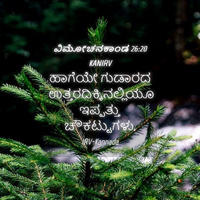 Picture 04 - ವಿಮೋಚನಕಾಂಡ 26:20 KANIRV - ಹಾಗೆಯೇ ಗುಡಾರದ - Bible Verse Picture