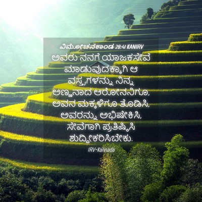 Picture 04 - ವಿಮೋಚನಕಾಂಡ 28:41 KANIRV - ಅವರು ನನಗೆ - Bible Verse Picture