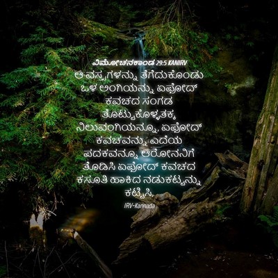 Picture 04 - ವಿಮೋಚನಕಾಂಡ 29:5 KANIRV - ಆ ವಸ್ತ್ರಗಳನ್ನು - Bible Verse Picture