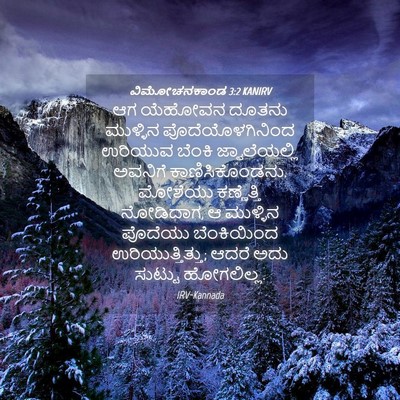 Picture 04 - ವಿಮೋಚನಕಾಂಡ 3:2 KANIRV - ಆಗ ಯೆಹೋವನ ದೂತನು - Bible Verse Picture