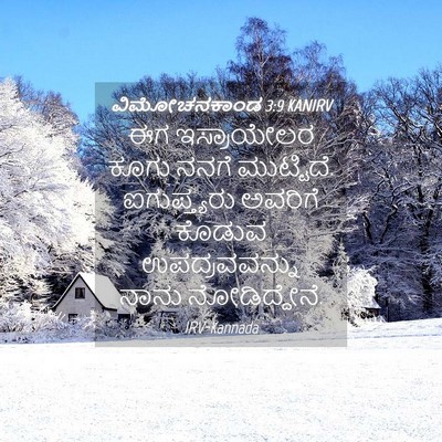 Picture 04 - ವಿಮೋಚನಕಾಂಡ 3:9 KANIRV - ಈಗ ಇಸ್ರಾಯೇಲರ ಕೂಗು - Bible Verse Picture