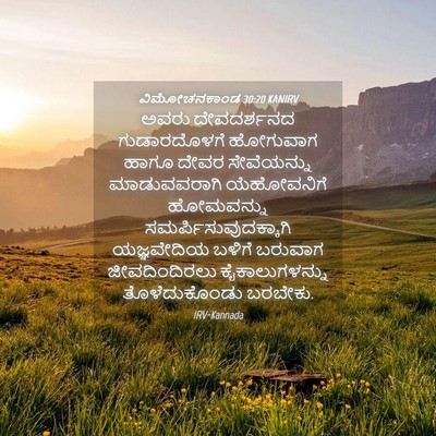 Picture 04 - ವಿಮೋಚನಕಾಂಡ 30:20 KANIRV - ಅವರು ದೇವದರ್ಶನದ - Bible Verse Picture