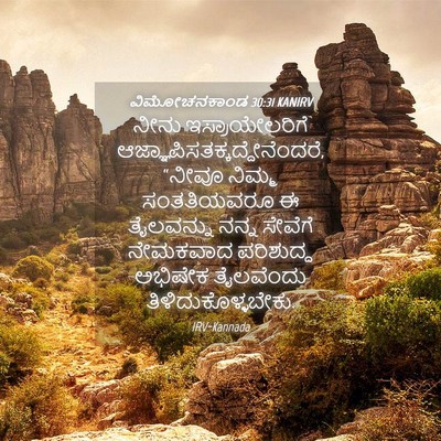 Picture 04 - ವಿಮೋಚನಕಾಂಡ 30:31 KANIRV - ನೀನು ಇಸ್ರಾಯೇಲರಿಗೆ - Bible Verse Picture