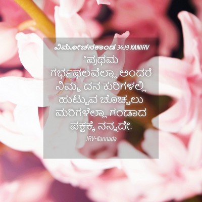 Picture 04 - ವಿಮೋಚನಕಾಂಡ 34:19 KANIRV - “ಪ್ರಥಮ - Bible Verse Picture