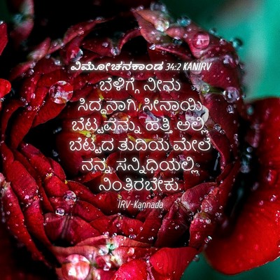 Picture 04 - ವಿಮೋಚನಕಾಂಡ 34:2 KANIRV - ಬೆಳಿಗ್ಗೆ ನೀನು - Bible Verse Picture