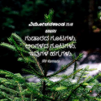 Picture 04 - ವಿಮೋಚನಕಾಂಡ 35:18 KANIRV - ಗುಡಾರದ ಗೂಟಗಳು, - Bible Verse Picture