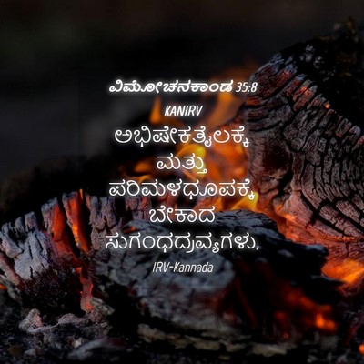 Picture 04 - ವಿಮೋಚನಕಾಂಡ 35:8 KANIRV - ಅಭಿಷೇಕತೈಲಕ್ಕೆ - Bible Verse Picture