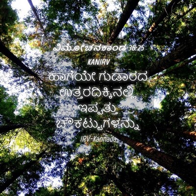 Picture 04 - ವಿಮೋಚನಕಾಂಡ 36:25 KANIRV - ಹಾಗೆಯೇ ಗುಡಾರದ - Bible Verse Picture