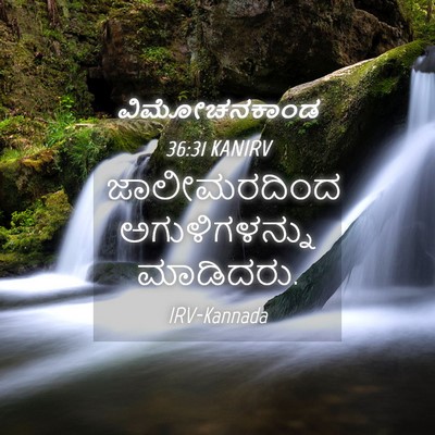 Picture 04 - ವಿಮೋಚನಕಾಂಡ 36:31 KANIRV - ಜಾಲೀಮರದಿಂದ - Bible Verse Picture