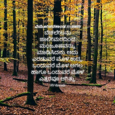 Picture 04 - ವಿಮೋಚನಕಾಂಡ 37:1 KANIRV - ಬೆಚಲೇಲನು - Bible Verse Picture