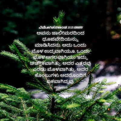 Picture 04 - ವಿಮೋಚನಕಾಂಡ 37:25 KANIRV - ಅವನು ಜಾಲೀಮರದಿಂದ - Bible Verse Picture