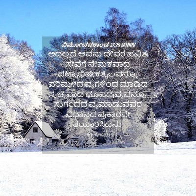 Picture 04 - ವಿಮೋಚನಕಾಂಡ 37:29 KANIRV - ಅದಲ್ಲದೆ ಅವನು ದೇವರ - Bible Verse Picture