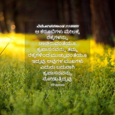 Picture 04 - ವಿಮೋಚನಕಾಂಡ 37:9 KANIRV - ಆ ಕೆರೂಬಿಗಳು - Bible Verse Picture