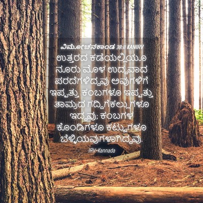 Picture 04 - ವಿಮೋಚನಕಾಂಡ 38:11 KANIRV - ಉತ್ತರದ ಕಡೆಯಲ್ಲಿಯೂ - Bible Verse Picture
