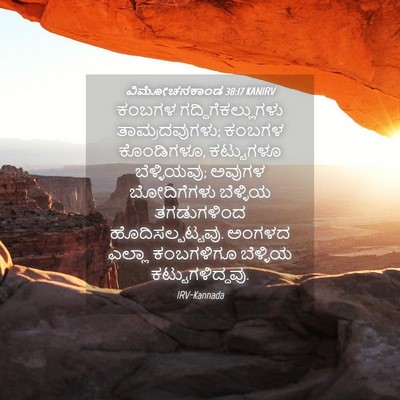 Picture 04 - ವಿಮೋಚನಕಾಂಡ 38:17 KANIRV - ಕಂಬಗಳ - Bible Verse Picture