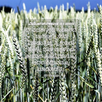 Picture 04 - ವಿಮೋಚನಕಾಂಡ 38:8 KANIRV - ದೇವದರ್ಶನದ ಗುಡಾರದ - Bible Verse Picture