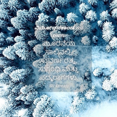 Picture 04 - ವಿಮೋಚನಕಾಂಡ 39:12 KANIRV - ಮೂರನೆಯ ಸಾಲಿನಲ್ಲಿ - Bible Verse Picture