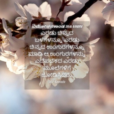 Picture 04 - ವಿಮೋಚನಕಾಂಡ 39:16 KANIRV - ಎರಡು ಚಿನ್ನದ - Bible Verse Picture