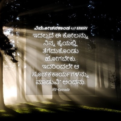 Picture 04 - ವಿಮೋಚನಕಾಂಡ 4:17 KANIRV - ಇದಲ್ಲದೆ ಈ ಕೋಲನ್ನು - Bible Verse Picture