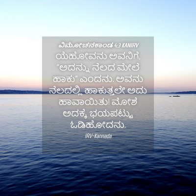 Picture 04 - ವಿಮೋಚನಕಾಂಡ 4:3 KANIRV - ಯೆಹೋವನು ಅವನಿಗೆ, - Bible Verse Picture