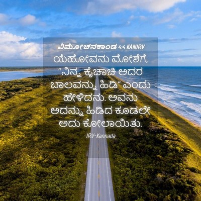 Picture 04 - ವಿಮೋಚನಕಾಂಡ 4:4 KANIRV - ಯೆಹೋವನು ಮೋಶೆಗೆ, - Bible Verse Picture