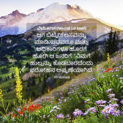 Picture 04 - ವಿಮೋಚನಕಾಂಡ 5:10 KANIRV - ಆಗ - Bible Verse Picture
