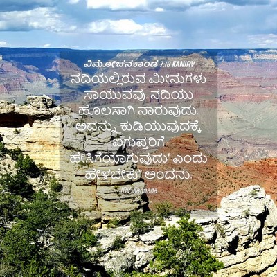 Picture 04 - ವಿಮೋಚನಕಾಂಡ 7:18 KANIRV - ನದಿಯಲ್ಲಿರುವ - Bible Verse Picture