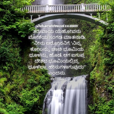 Picture 04 - ವಿಮೋಚನಕಾಂಡ 8:16 KANIRV - ತರುವಾಯ ಯೆಹೋವನು - Bible Verse Picture