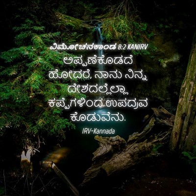 Picture 04 - ವಿಮೋಚನಕಾಂಡ 8:2 KANIRV - ಅಪ್ಪಣೆಕೊಡದೆ - Bible Verse Picture